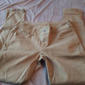 Sage Green Jeggings